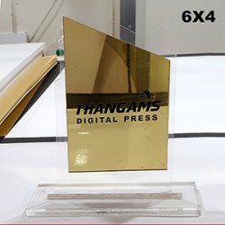1720435481-h-250-gold acrylic trophy 10 300x300.jpg